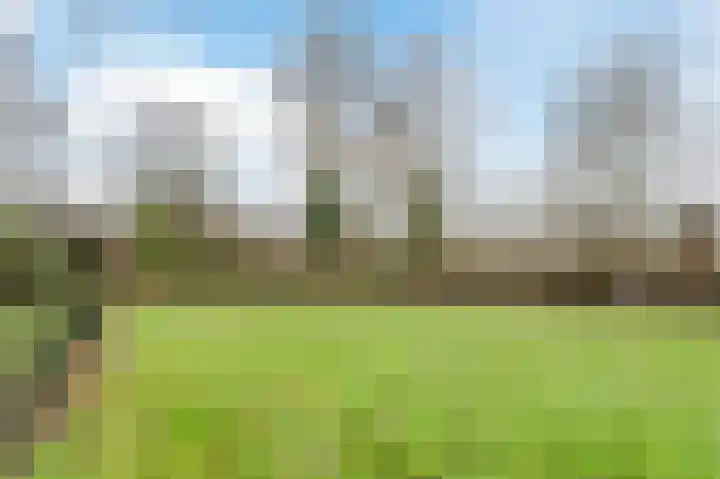 Waleweinlaan 144 Geldrop thumbnail 48