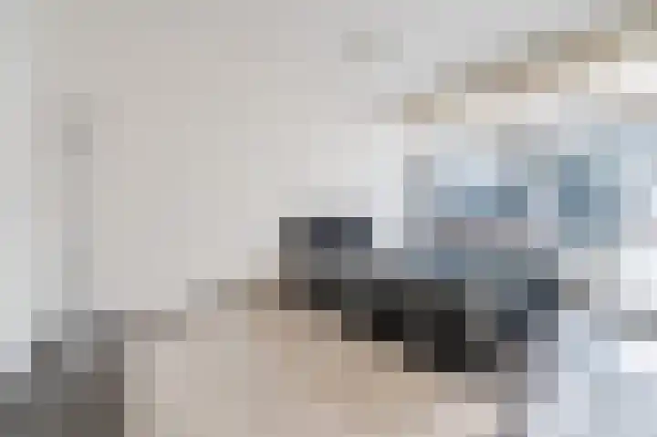 Waleweinlaan 144 Geldrop thumbnail 8