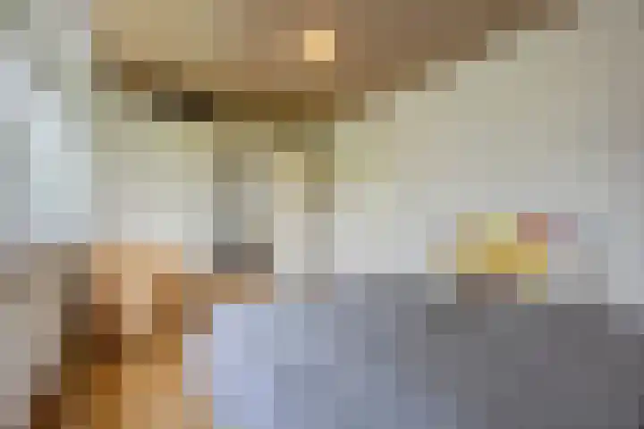 Waleweinlaan 41 Geldrop thumbnail 21