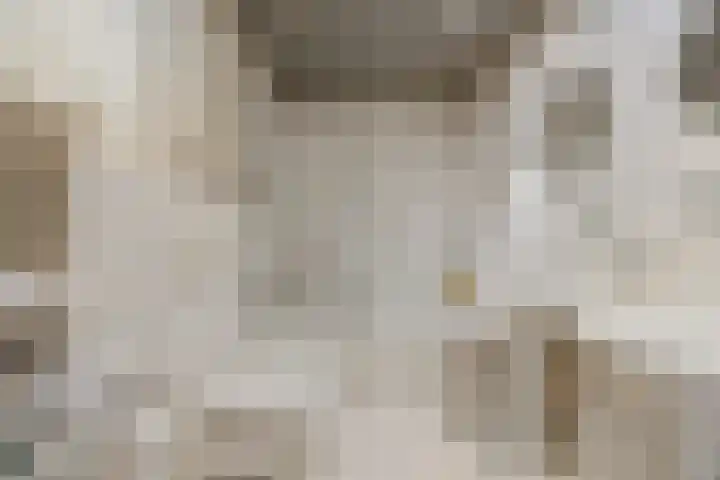 Waleweinlaan 41 Geldrop thumbnail 22