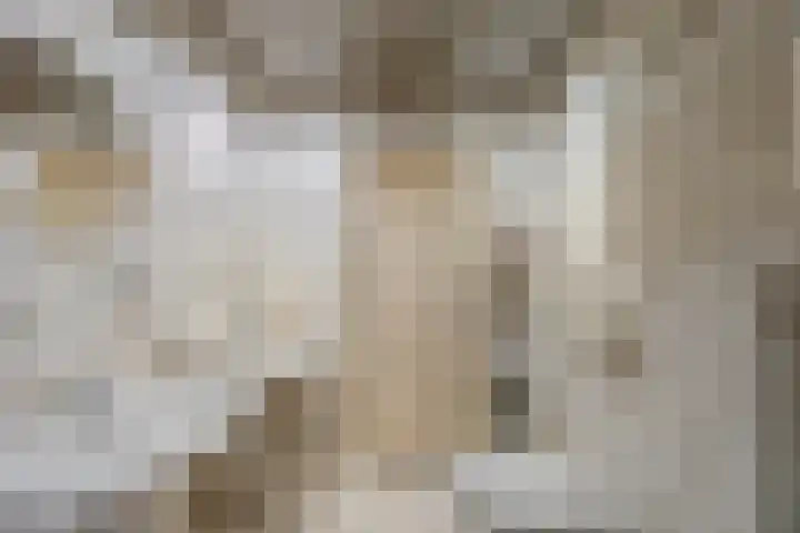 Waleweinlaan 41 Geldrop thumbnail 23