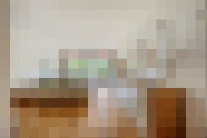 Waleweinlaan 41 Geldrop foto 3