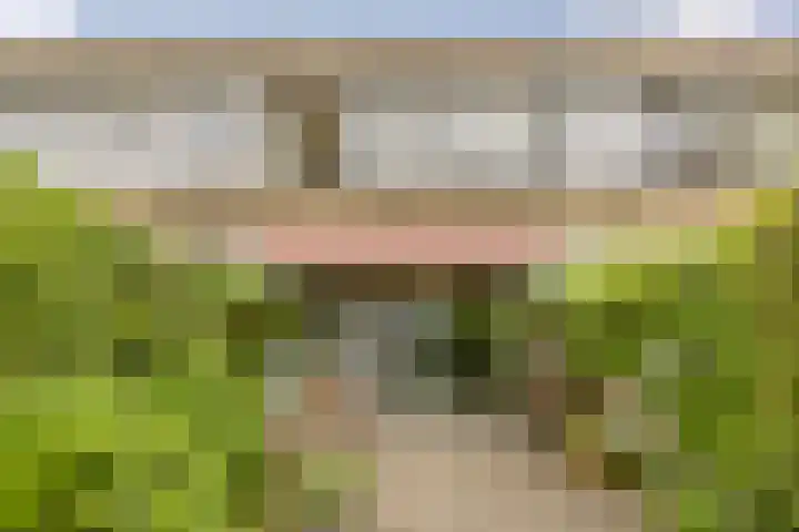 Waleweinlaan 41 Geldrop thumbnail 33