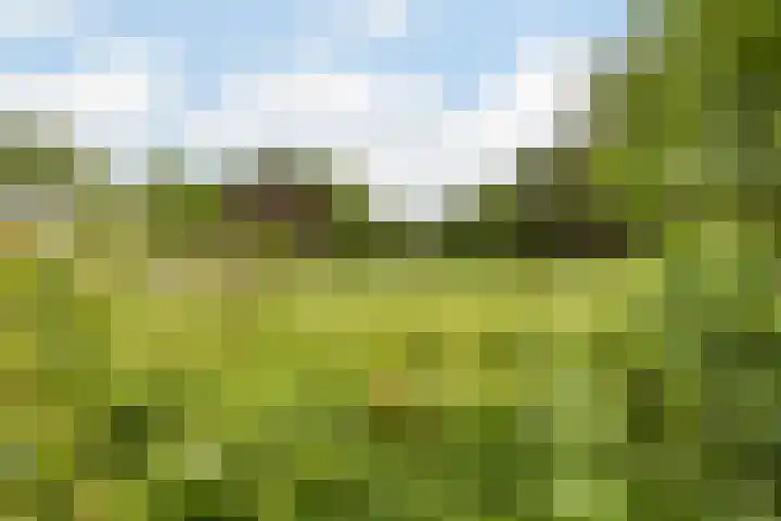 Waleweinlaan 41 Geldrop thumbnail 35