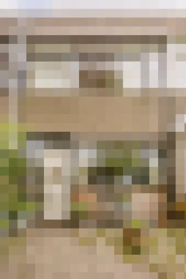 Waleweinlaan 41 Geldrop thumbnail 37