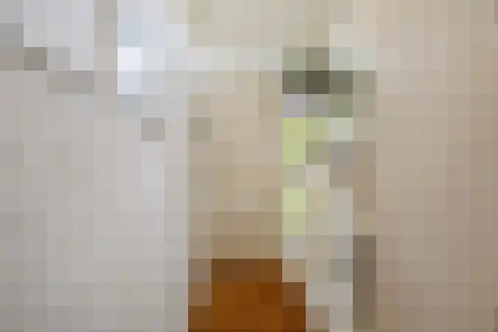 Waleweinlaan 41 Geldrop thumbnail 4