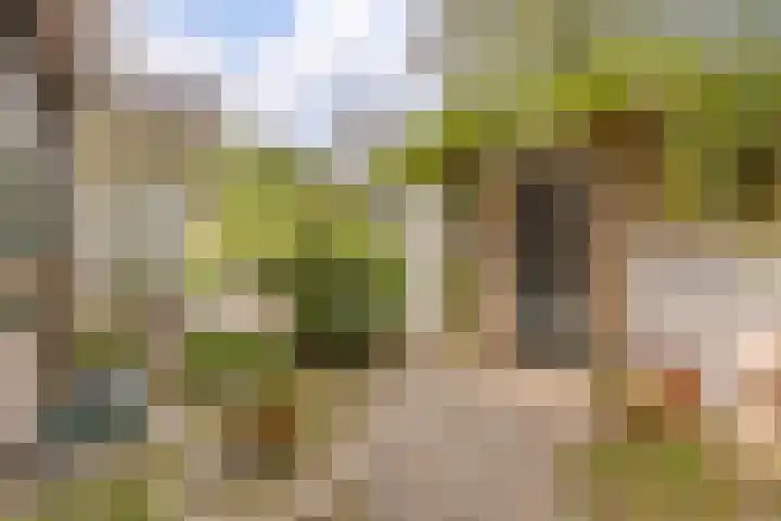 Waleweinlaan 41 Geldrop thumbnail 40