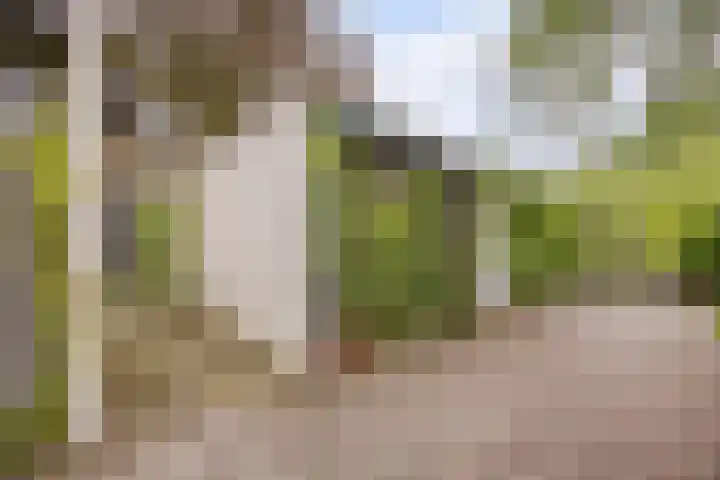 Waleweinlaan 41 Geldrop thumbnail 41