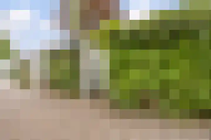 Waleweinlaan 41 Geldrop thumbnail 42