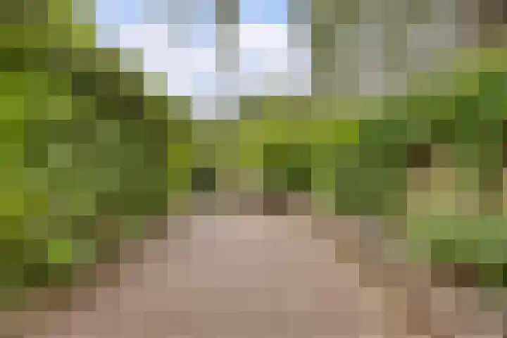 Waleweinlaan 41 Geldrop thumbnail 43
