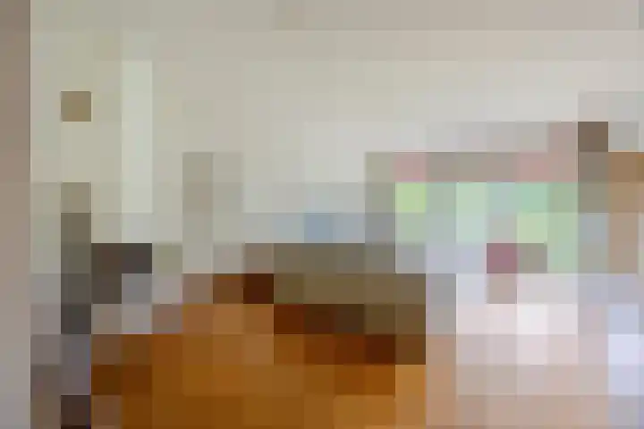 Waleweinlaan 41 Geldrop thumbnail 6
