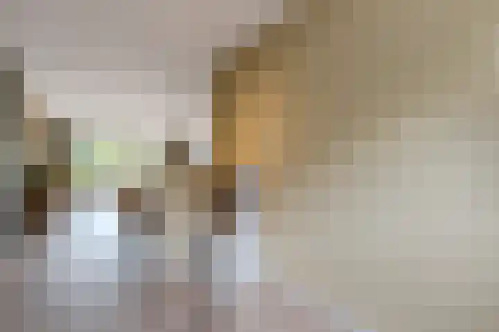 Waleweinlaan 76 Geldrop thumbnail 11