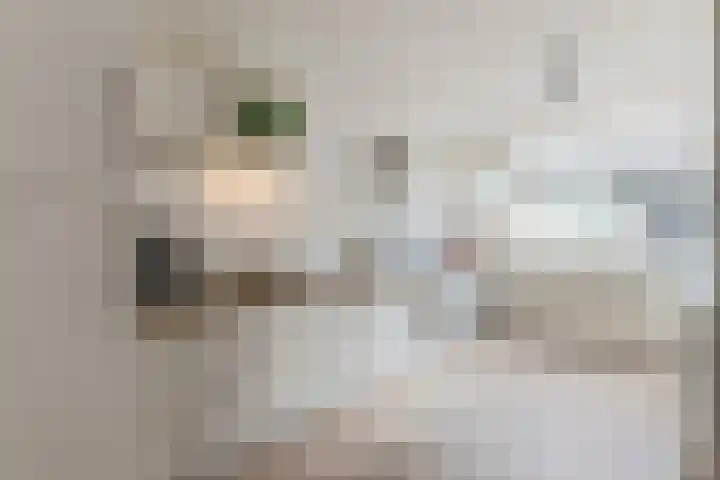 Waleweinlaan 76 Geldrop thumbnail 12