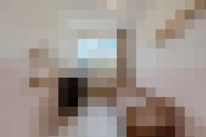Waleweinlaan 76 Geldrop thumbnail 24