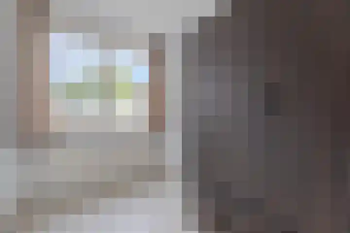 Waleweinlaan 76 Geldrop thumbnail 28