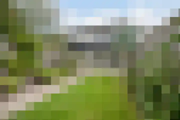 Waleweinlaan 76 Geldrop thumbnail 35