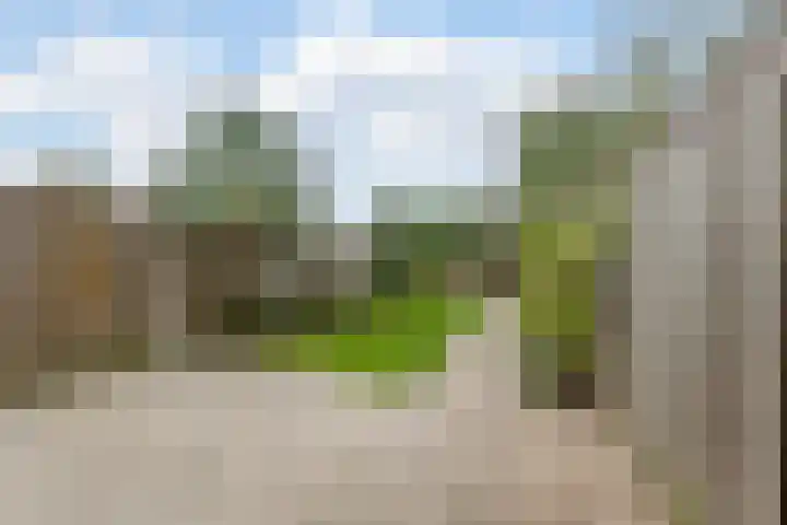 Waleweinlaan 76 Geldrop thumbnail 36