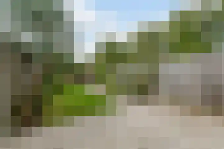 Waleweinlaan 76 Geldrop thumbnail 37
