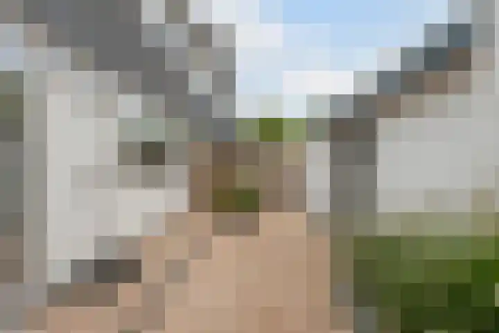Waleweinlaan 76 Geldrop thumbnail 4