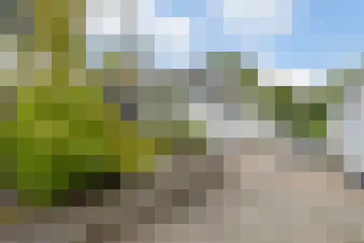 Waleweinlaan 76 Geldrop thumbnail 40