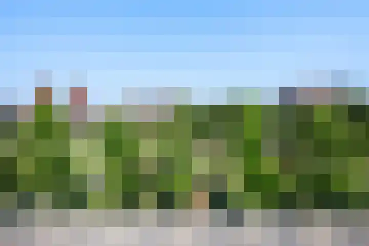 Walhallalaan 68 Rotterdam thumbnail 35