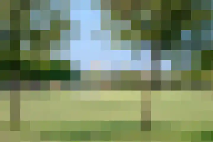 Walhallalaan 68 Rotterdam thumbnail 47
