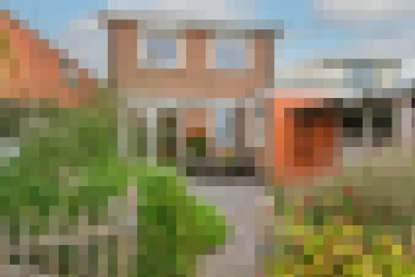 Walingsdijk 22 Ursem thumbnail 5