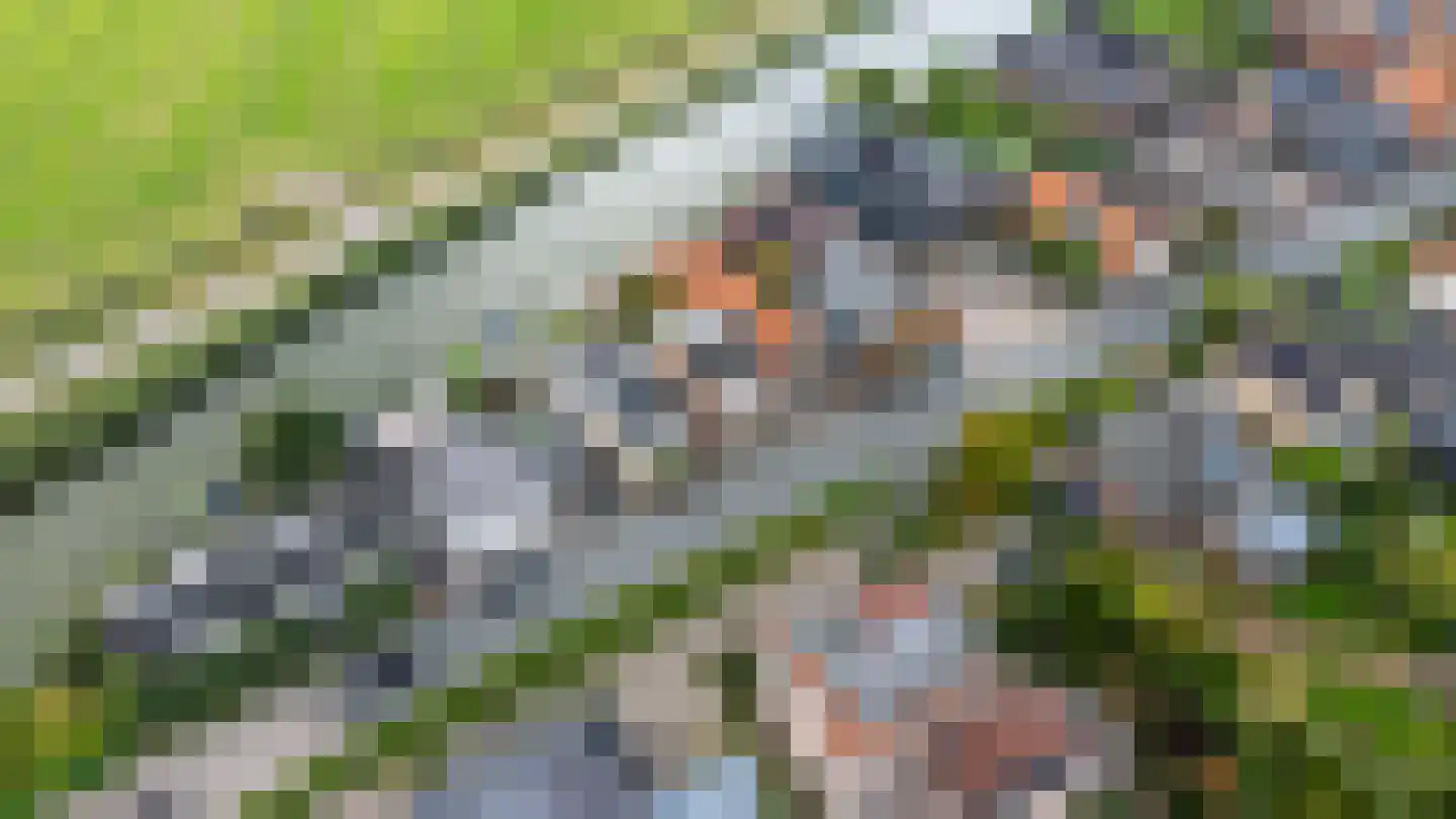 Walingsdijk 22 Ursem thumbnail 66