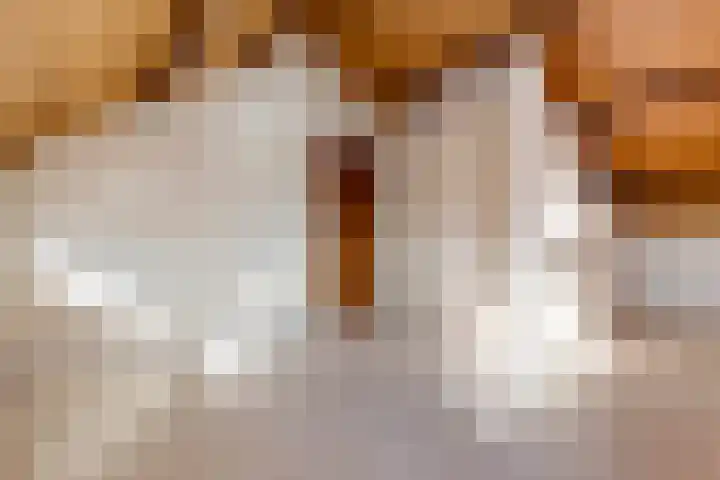 Walker 7 Delfzijl thumbnail 40