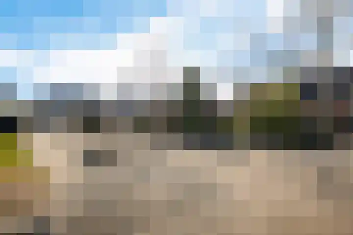 Walker 7 Delfzijl thumbnail 7