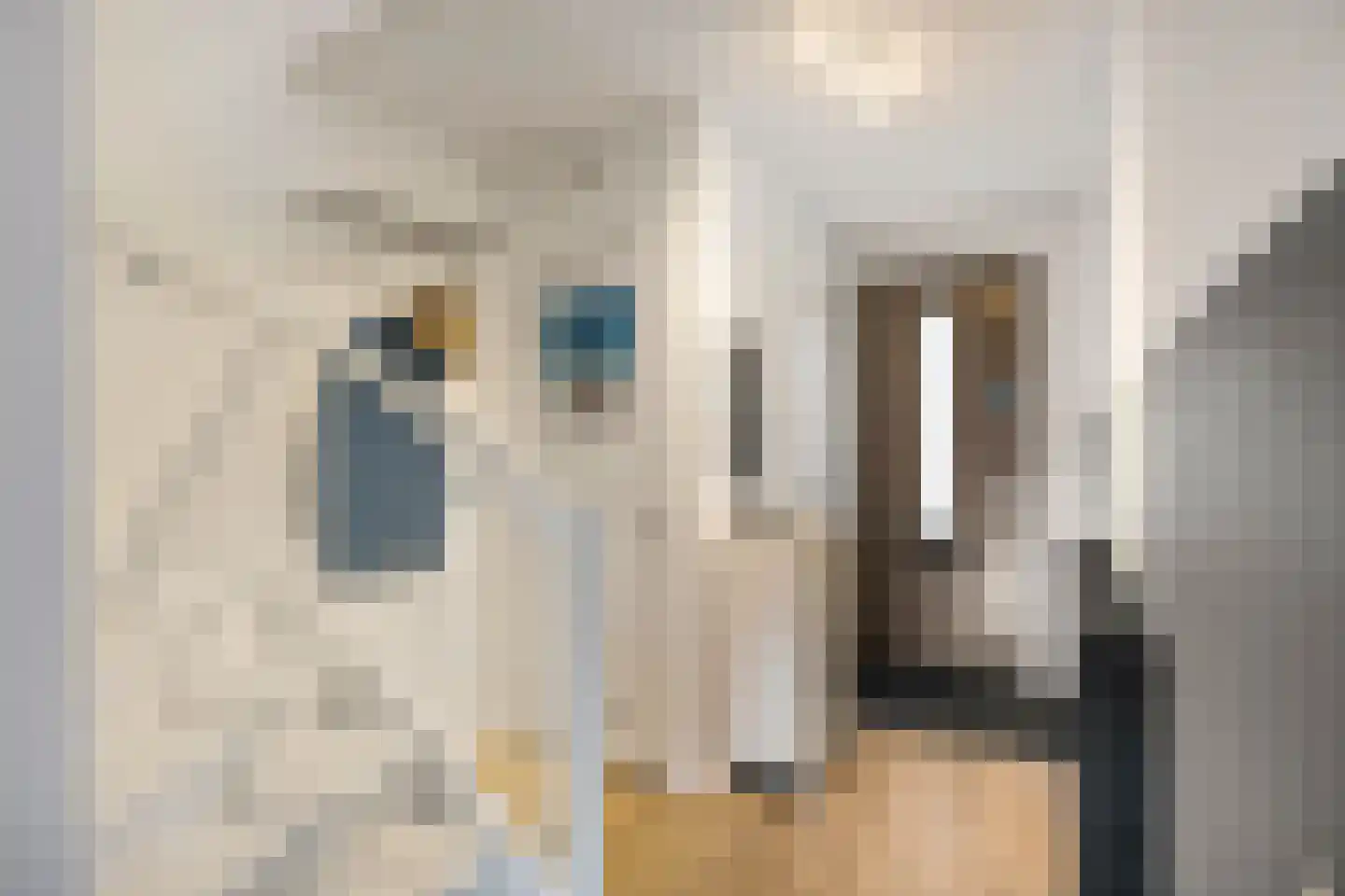 Wallegang 11 Groningen thumbnail 6
