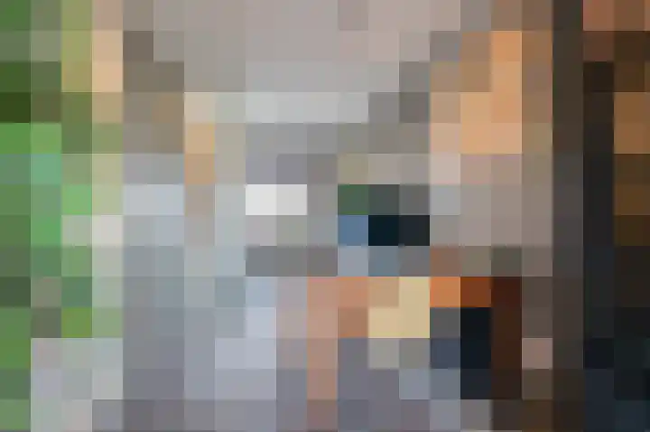 Wallegang 15 Groningen thumbnail 21