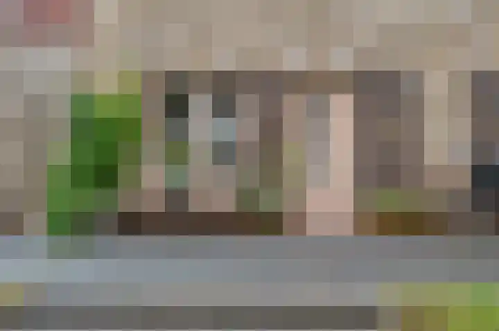 Wallegang 15 Groningen thumbnail 4