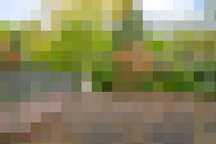 Wallsteijndreef 9 Helmond thumbnail 25