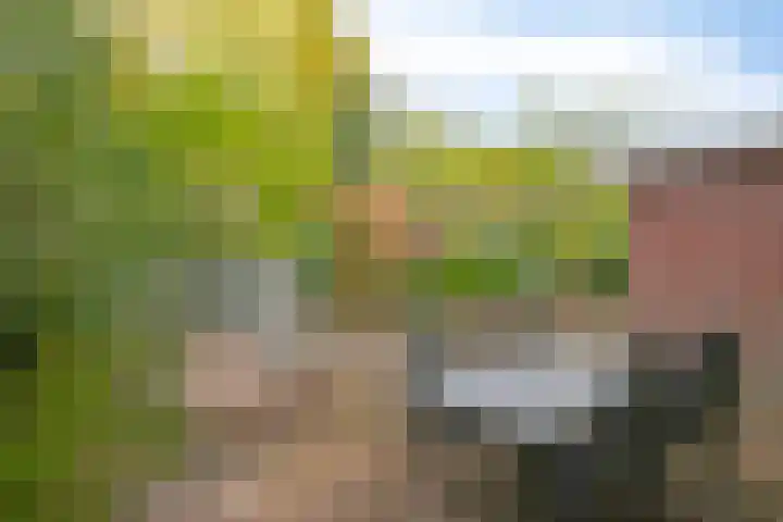 Wallsteijndreef 9 Helmond thumbnail 26