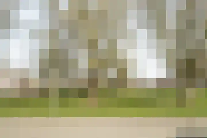 Walmolen 15 Vianen thumbnail 27