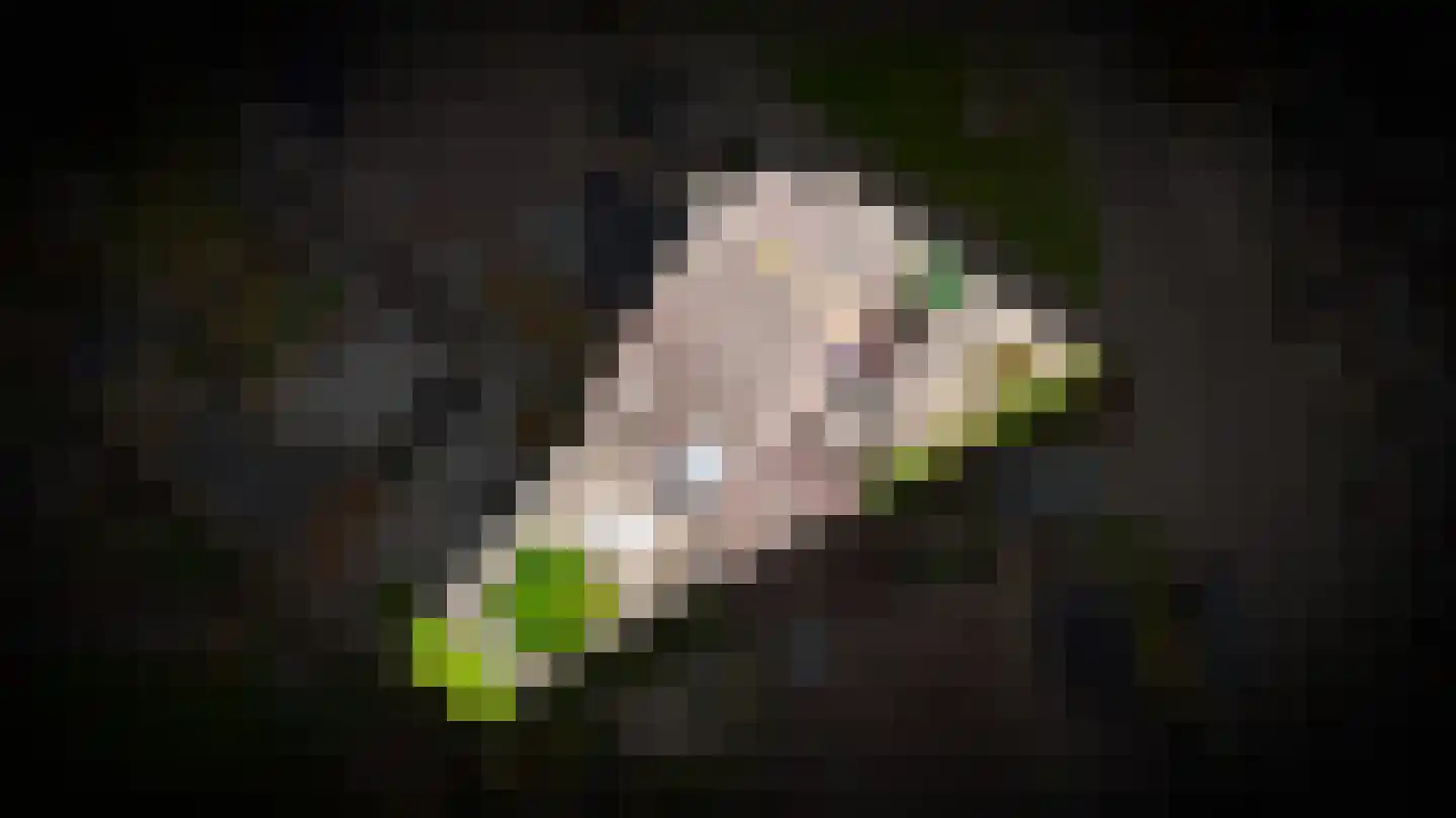 Walmolen 7 Vianen thumbnail 32