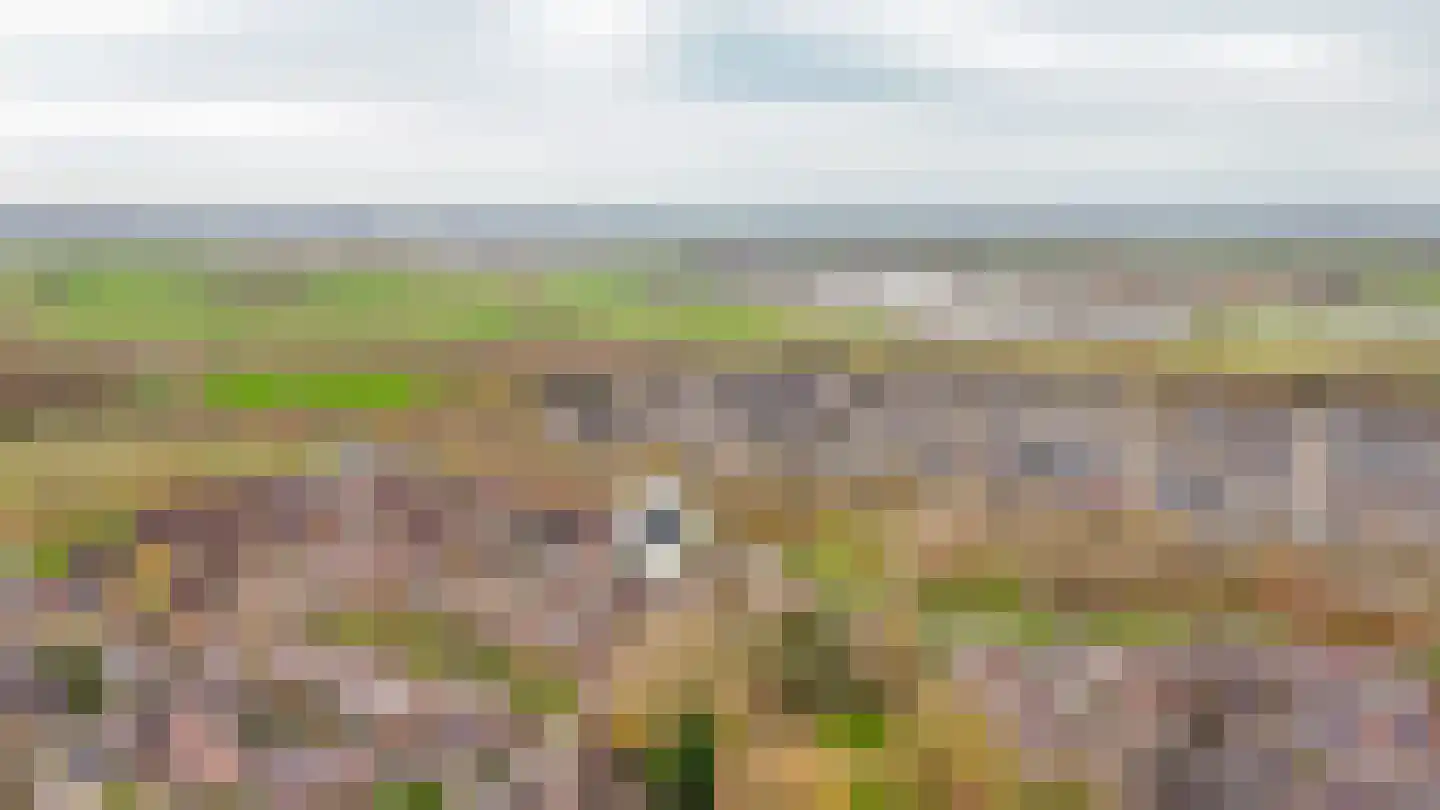 Walmolen 7 Vianen thumbnail 34
