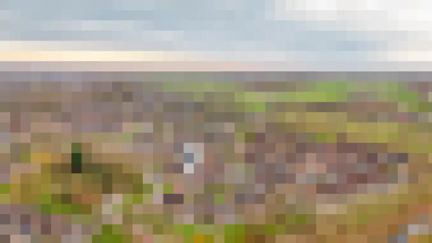 Walmolen 7 Vianen thumbnail 35