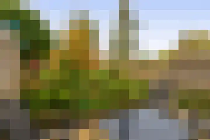 Walmolenerf 157 Gouda thumbnail 10