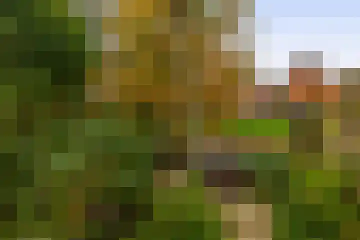 Walmolenerf 157 Gouda thumbnail 11