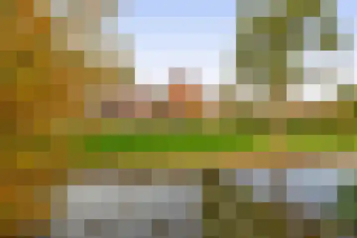 Walmolenerf 157 Gouda thumbnail 12