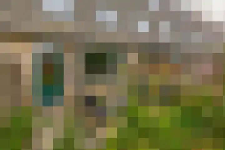 Walmolenerf 157 Gouda thumbnail 13