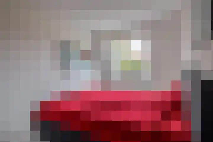 Walmolenerf 157 Gouda thumbnail 15