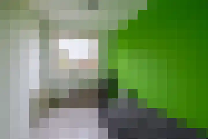 Walmolenerf 157 Gouda thumbnail 17