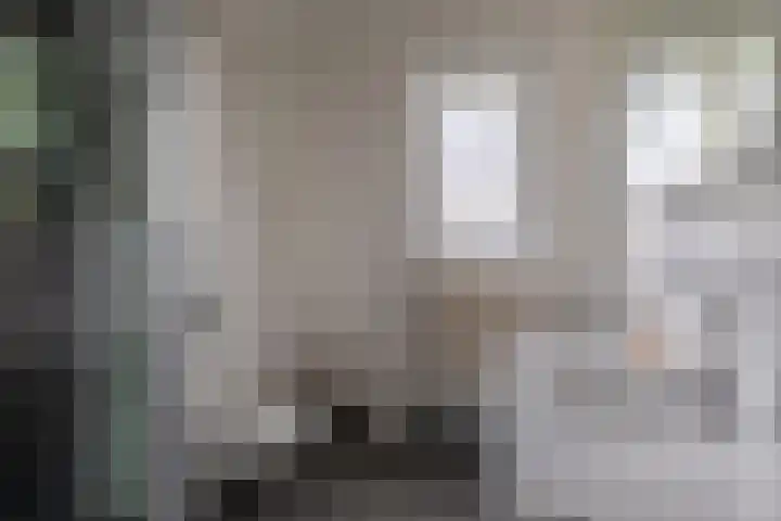 Walmolenerf 157 Gouda thumbnail 19