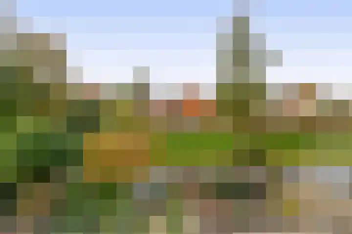 Walmolenerf 157 Gouda thumbnail 26