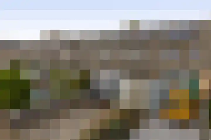 Walmolenerf 157 Gouda thumbnail 4
