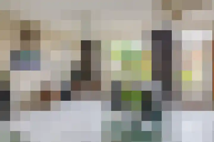 Walmolenerf 157 Gouda thumbnail 5