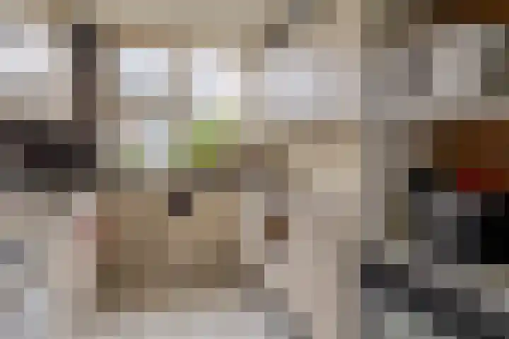 Walmolenerf 157 Gouda thumbnail 8